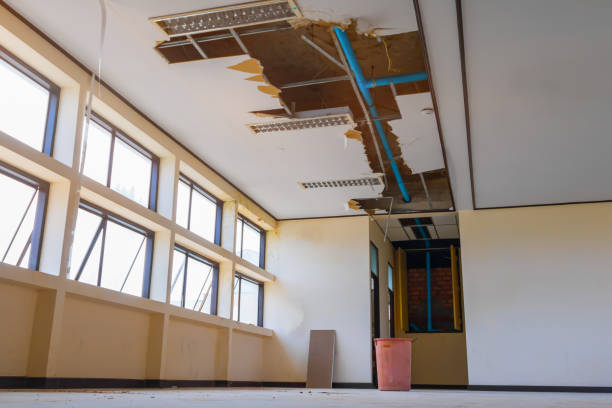 Carpet water damage restoration in VA