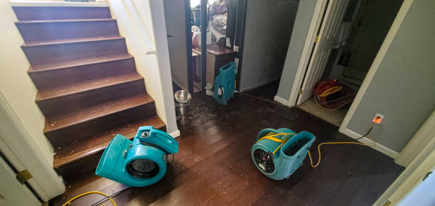 24/7 water damage repair in VA