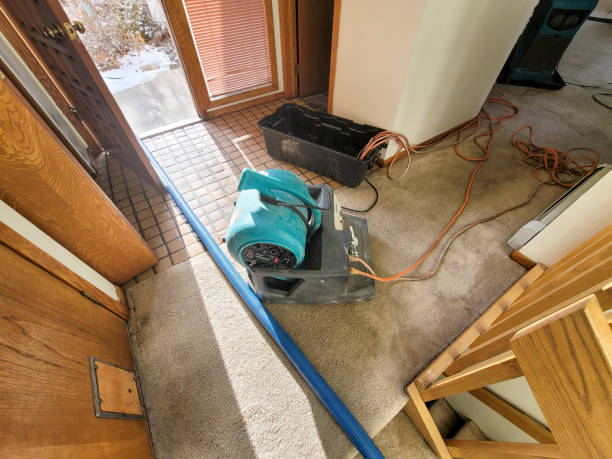 Best Water damage contractors near me  in Reston, VA