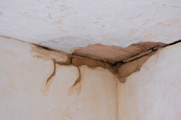 Best 24/7 water damage repair  in Reston, VA