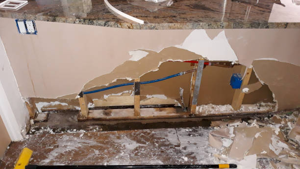 Best Carpet water damage restoration  in Reston, VA