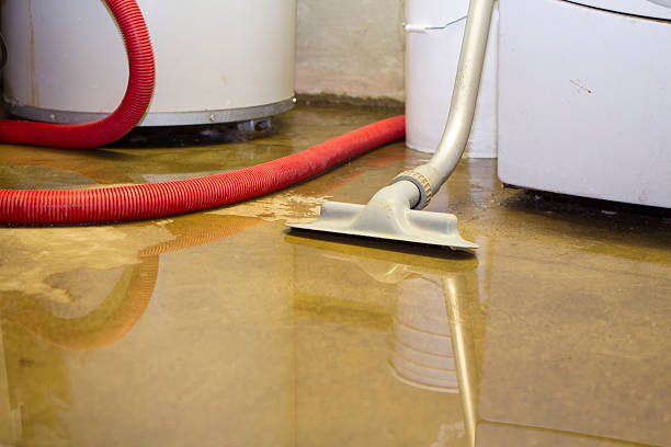 Best Professional water damage repair  in Reston, VA